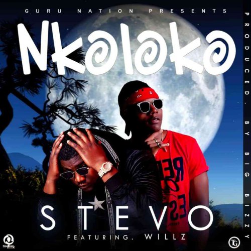 Nkholoko (Ft Willz Mr Nyopole)