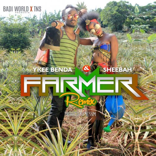 Farmer (Remix) (Ft Sheebah Karungi)