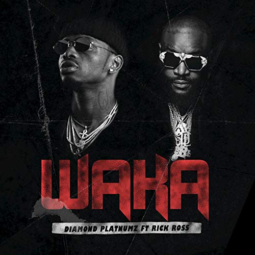 Waka (Ft Rick Ross)
