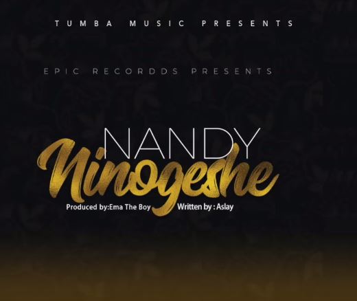 Ninogeshe