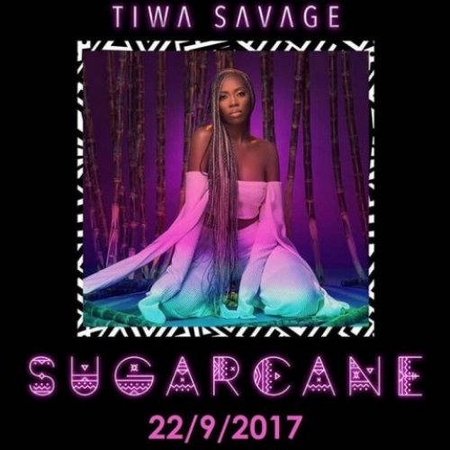 Sugarcane