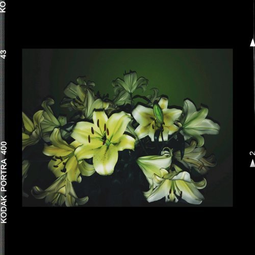 Everything Beautiful is far away by BLVCKXNG Kbo | Album