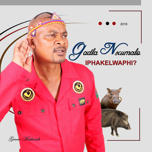 Iphakwelaphi by Gadla Nxumalo | Album