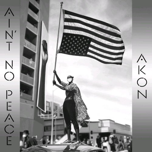 Ain't No Peace by Akon