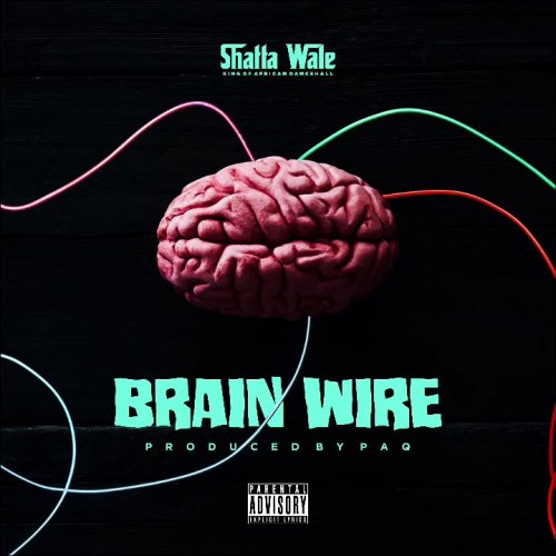 Brain Wire