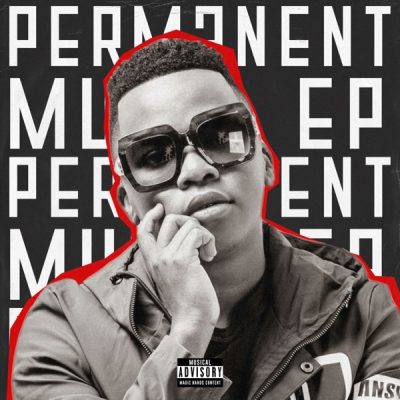 Permanent by Dlala Thukzin | Album