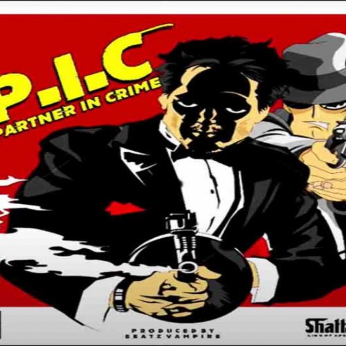 Partner In Crime (PIC)