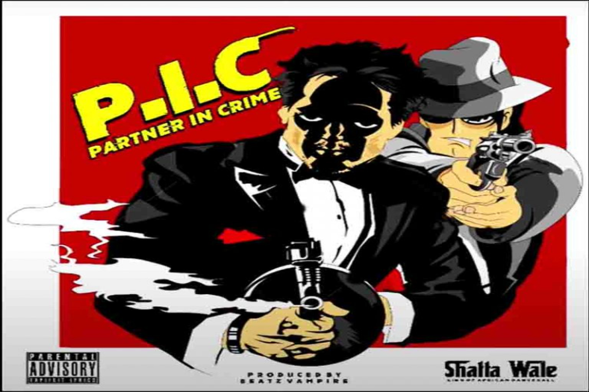 Partner In Crime (PIC)