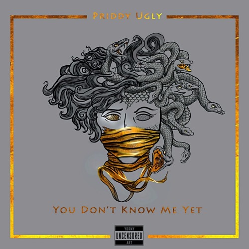 You Dont Know Me Yet(Deluxe) by Priddy Ugly | Album