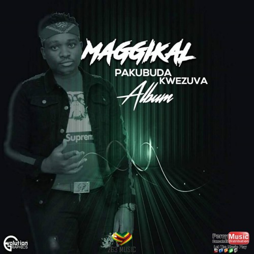 Pakubuda Kwezuva by Maggikal | Album