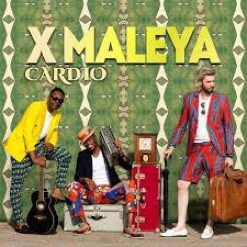 Cardio by Xmaleya | Album