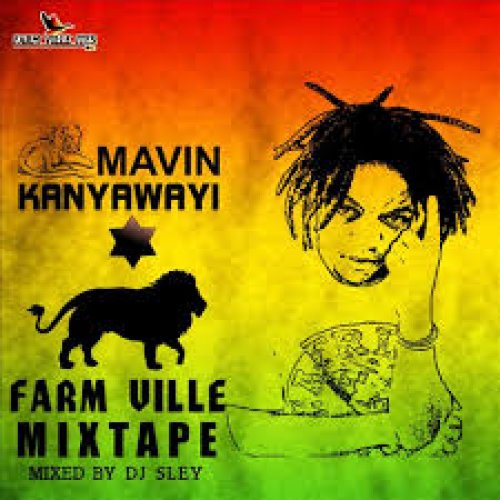 Farm Ville by Mavin Kanyawayi | Album