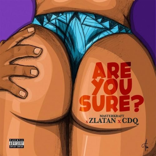 Are you Sure (Ft Zlatan, CDQ)