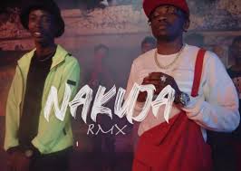 Nakuja Rmx (Ft Mario)