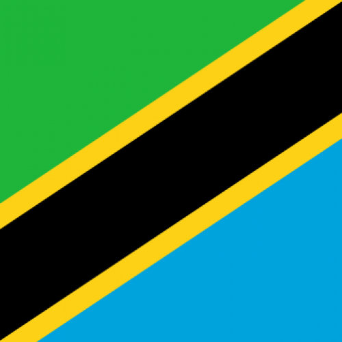 Trending: Tanzanian 