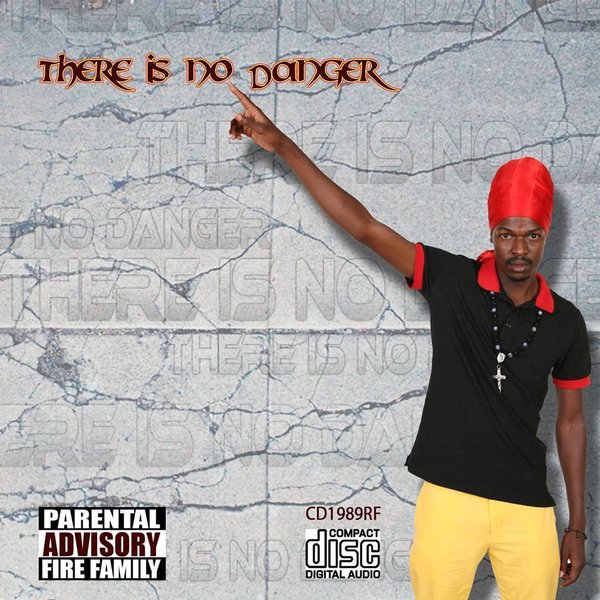 There Is No Danger by Ricky Fire | Album