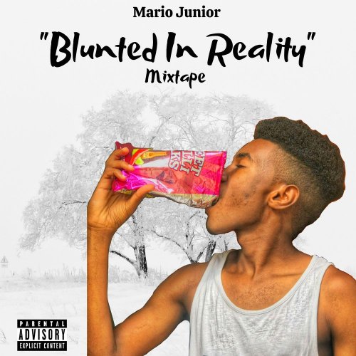 Blunted In Reality (Mixtape) by Mario Junior