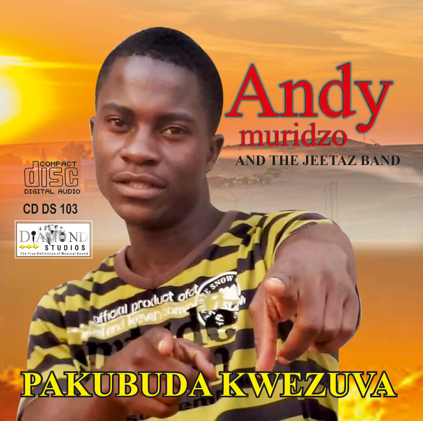 Pakubuda Kwezuva by Andy Muridzo | Album