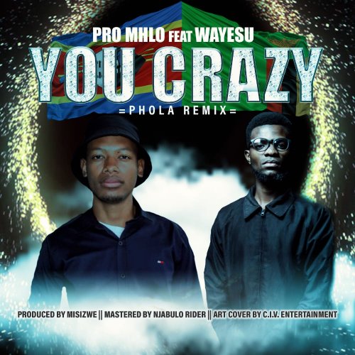 You Crazy- Pro Mhlo (Ft Wayesu Zm)