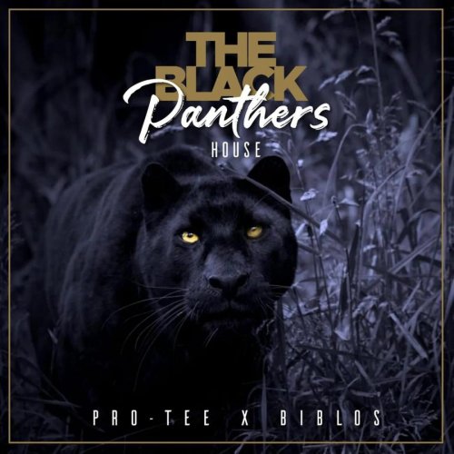 The Black Panther's House ( Biblos ) by Pro-Tee | Album