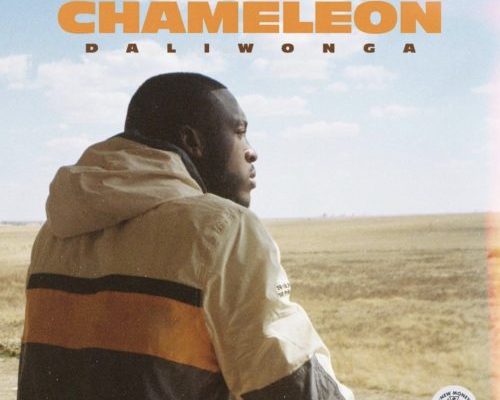 Chameleon by Daliwonga | Album