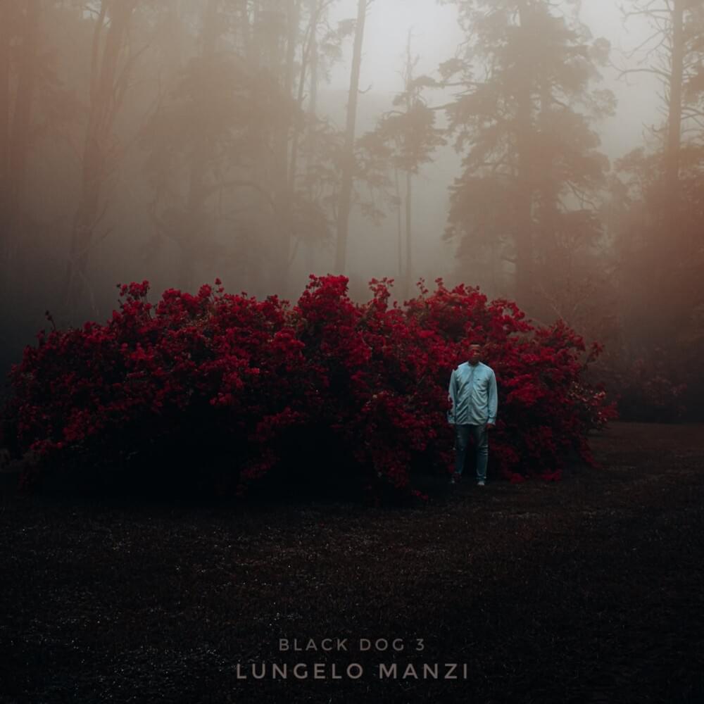 Black Dog III by Lungelo Manzi | Album
