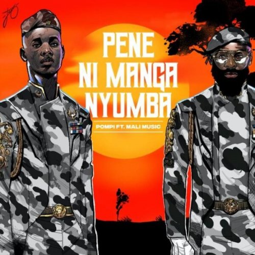 Pene Ni Manga Nyumba (Ft Mali Music)