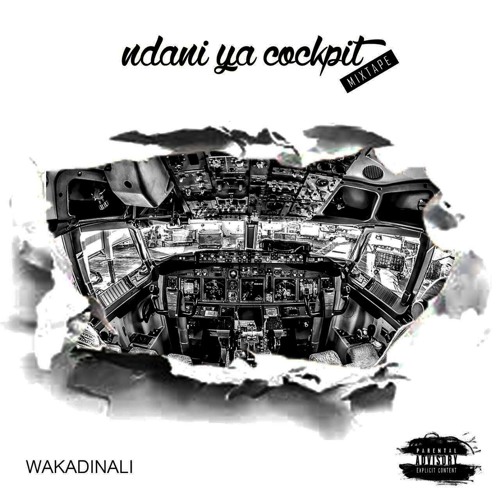 Ndani Ya Cockpit by Wakadinali | Album