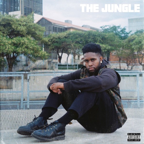 The Jungle Mixtape by TSA | Album