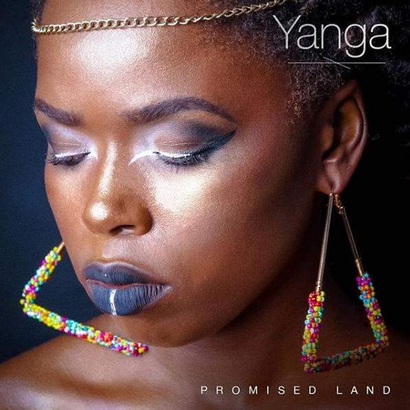 Promised Land (Ft Amanda Black)