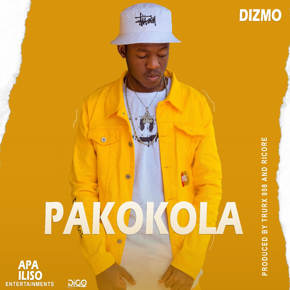 Dizmo
