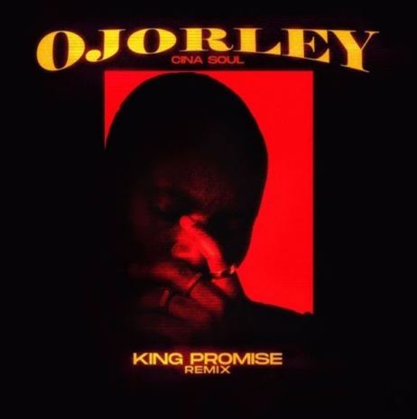 Ojorley (Remix) (Ft King Promise)