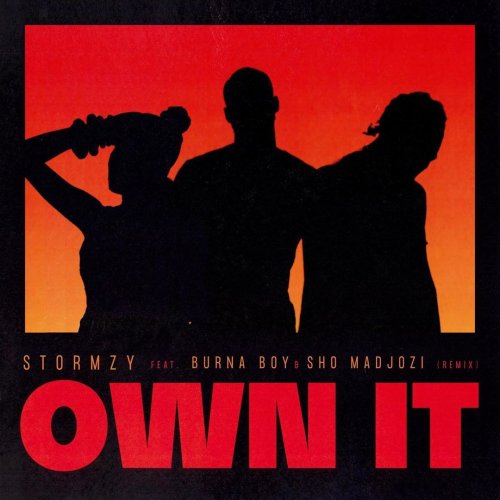 Own it Remix (Ft Burna boy & Sho Madjozi)