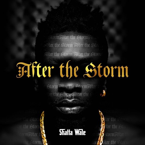 After the Storm by Shatta Wale | Album