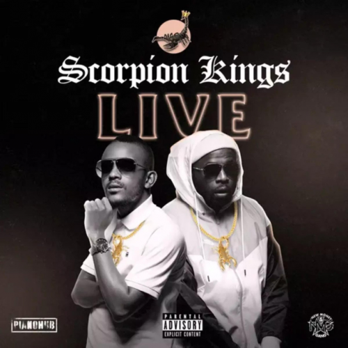 Scorpion Kings Live by Kabza De Small | Album