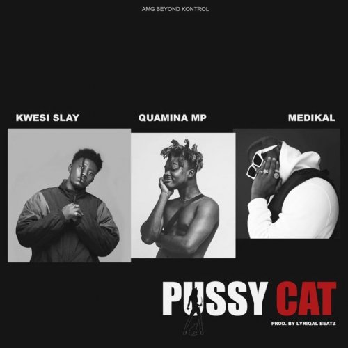 Pussy Cat (Ft Quamina MP, Medikal)