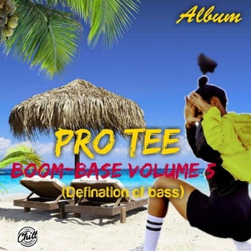 Boom Base Vol 5 (Definition Of Bass) by Pro-Tee | Album