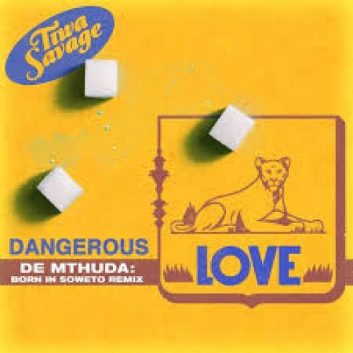 Dangerous Love Remix (Ft De Mthuda Born In Soweto)