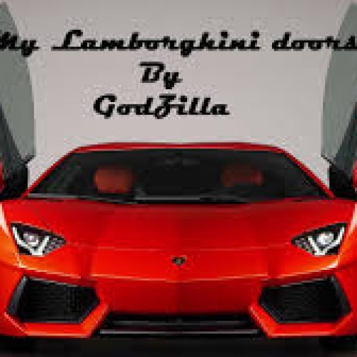 My Lamborghini Doors