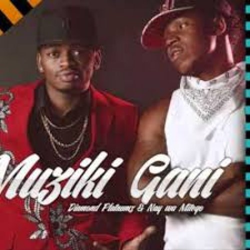 Muziki Gani by Nay Wa Mitego | Album