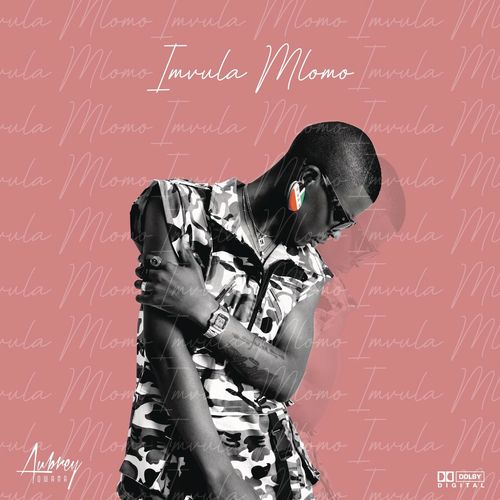 Imvula Mlomo by Aubrey Qwana | Album