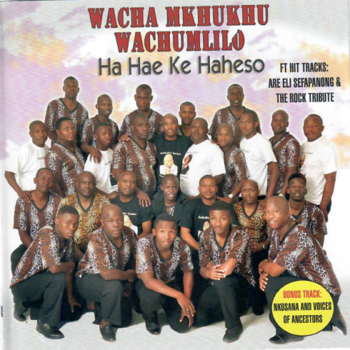 Ha Hae Ke Haheso by Wacha Mkhukhu Wachumlilo | Album