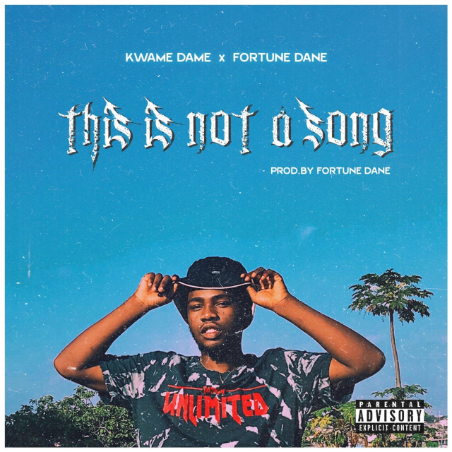 This Is Not a Song (Ft Fortune Dane)