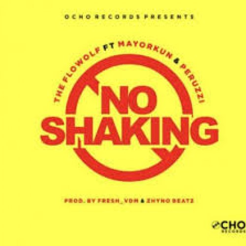 No Shaking (Ft Mayorkun, Peruzzi