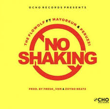 No Shaking (Ft Mayorkun, Peruzzi