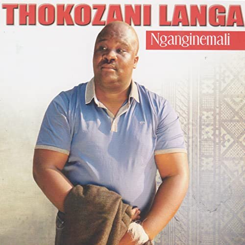 Nganginemali by Thokozani Langa | Album