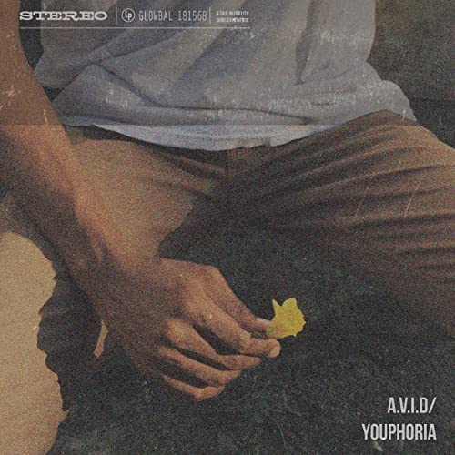 Youphoria by A V I D | Album