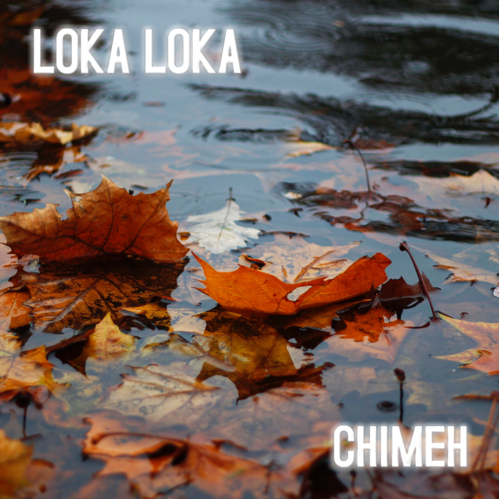 Loka Loka (Ft OC Osilliation)