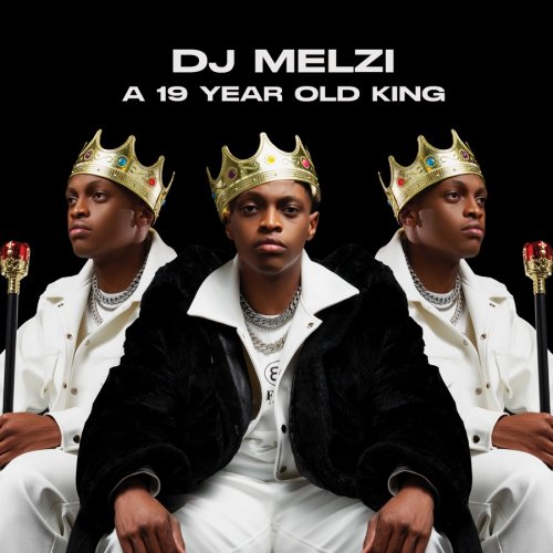 A 19 Year Old King by DJ Melzi | Album