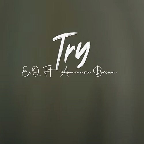 Try (Ft Ammara-Brown)